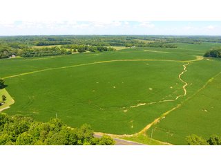 Property photo 48 - LAND AUCTION - 1,193+/- ACRES IN 14 TRACTS IN PIKE & GIBSON COUNTY, INDIANA